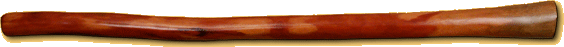 Didge nr. CGs37M31B10P28