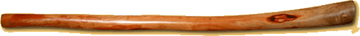 Didge nr. CsFs42M34B10W29P28